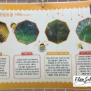 경기엘림어린이집 이미지