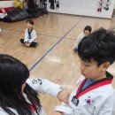 한국체대인성태권도장 이미지