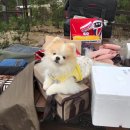 국립화천숲속야영장 이미지