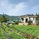 유태네 농장 이미지