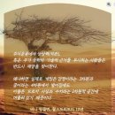 주식은 오르는 시세와 하락하는 시세가 있다 이미지