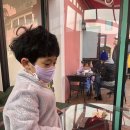 쉐누아빈치 이미지