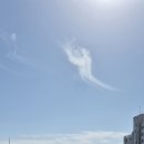 달빛펜션 - 밀양시 아불1길 21-9 | 달빛펜션
