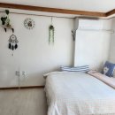 구름열매 이미지