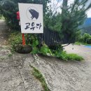 고우다 이미지