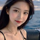 부산요트타자 이미지