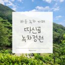 낭만정원 | 하동 녹차밭 카페 | 따신골 녹차정원 | 내돈내산 티크닉 후기