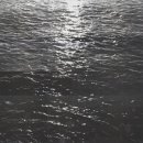 심상의 풍경 이미지