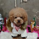 몽이네컷 이미지