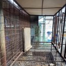 보배농장 이미지