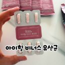 올영세일 질유산균 고민 끝 아이힐 비너스 유산균 후기