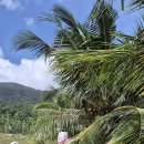 스프링데일 골프&리조트 휴양콘도미니엄 1 | 관광협회 초청 나트랑(나짱) 골프 팸투어 5일 후기:아나라 빈티엔 골프클럽(Anara Binh Tien Golf Club...