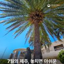 타악 퍼포먼스 「잼스틱의 비트팡팡」 | 국립제주박물관 2026년 7월 소식 🌴💚