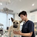 포인핸드 건강검진센터 이미지