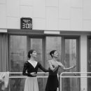 몸으로 그리는 예술, 현대무용의 세계 이미지