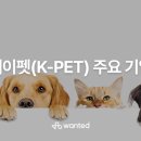 원티드 이미지