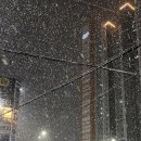 영미스튜디오 이미지