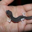 브리딩 팜 이미지