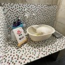 백설애견 | 개프탑라운지 애견카페 백설이와 함께 카페다녀온 후기