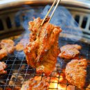 문화관광농원청소년야영장 | 정읍 허브원 라벤더 농원(+맛집, 입장료) | 30만 주가 물든 보랏빛 감성 여행