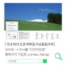 소나무푸드 이미지