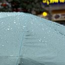 나용농장 이미지