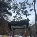 250118 용문사 템플스테이 후기 | 네 마리 고양이와 함께하는 힐링 타임