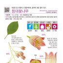 스튜디오두릅 이미지