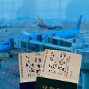 환승약국 | [호주 8박 10일] 대한항공기내식&amp;시드니 멜번 환승 후기