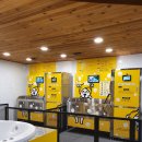 원통셀프세차장 이미지