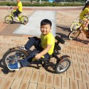 신일초교병설유치원 이미지