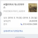 씨젤리피쉬 이미지