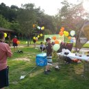 동물병원 위드 이미지