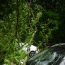 행운실비 이미지