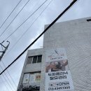 미롭다 | (진주헤드스파) 미롭다, 스페셜 관리(모발 집중관리) 솔직 후기