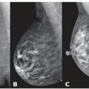 모유사랑클리닉 이미지
