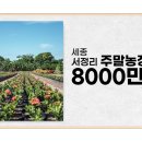 후겸농장 네이버블로그