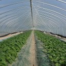 저동농장 이미지