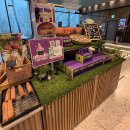 360 | 전망 좋은 대부도 베이커리 카페 “바르바커피 타워 360” 내돈내산 솔직후기