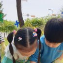 향남유치원 이미지