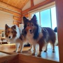 향초목원 이미지