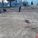 공동체비전고등학교