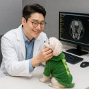 임수의과병원 | 강아지 뇌종양, 보호자 70%가 놓치는 치료 선택의 기준