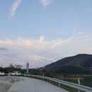 운암5호 이미지