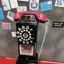 건강과성박물관 제주 이미지