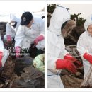 푸른바다유 이미지