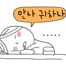 비바리즈