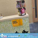 수지동물의료원 네이버블로그