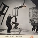 피카소 미술 이미지