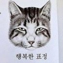 집밥이선생 이미지